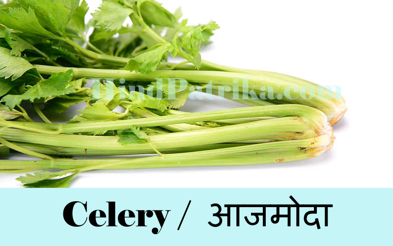 Vegetable Name In Hindi Vegetarian Foody S
