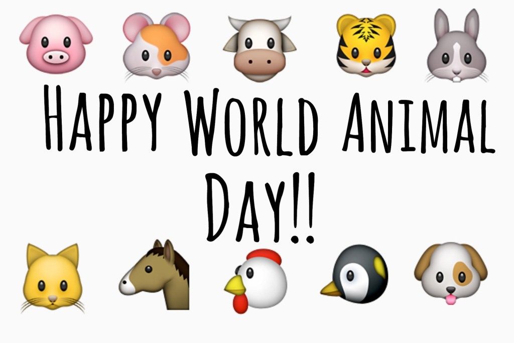 विश्व पशु दिवस मस्सेजिस | World Animal Day Messages in Hindi
