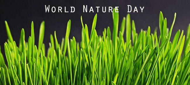 प्रकृति दिवस पर सृष्टिदेवी की कहानी | Prakriti Diwas Par Shristi Devi Ki Kahani