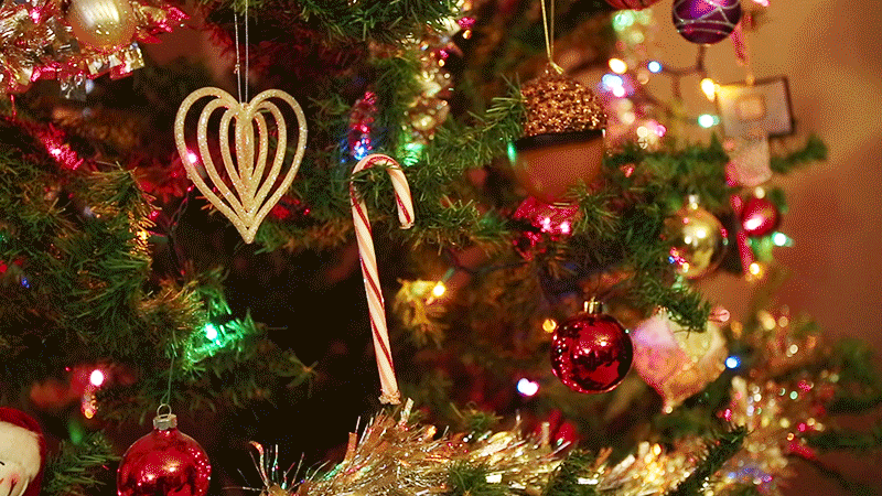 क्रिसमस डे की शुभकामनाये | Christmas Day Wishes in Hindi