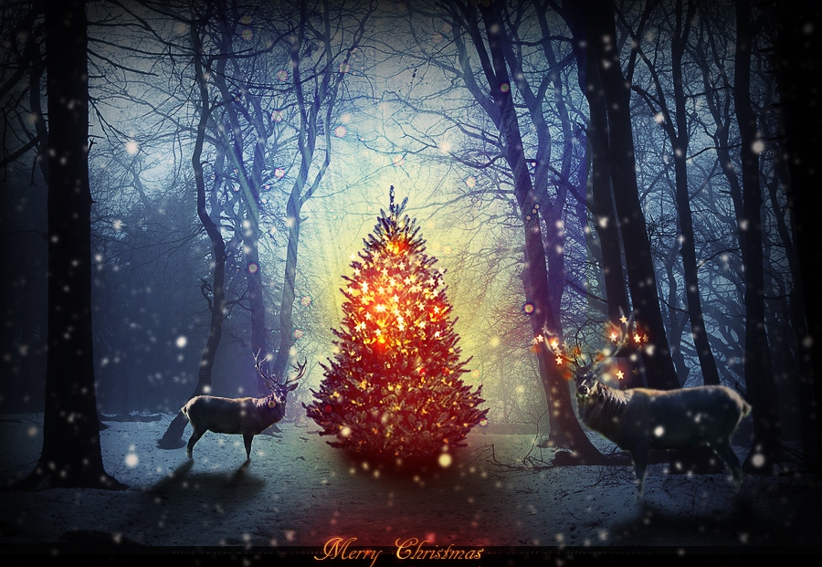 क्रिसमस डे की शुभकामनाये | Christmas Day Wishes in Hindi