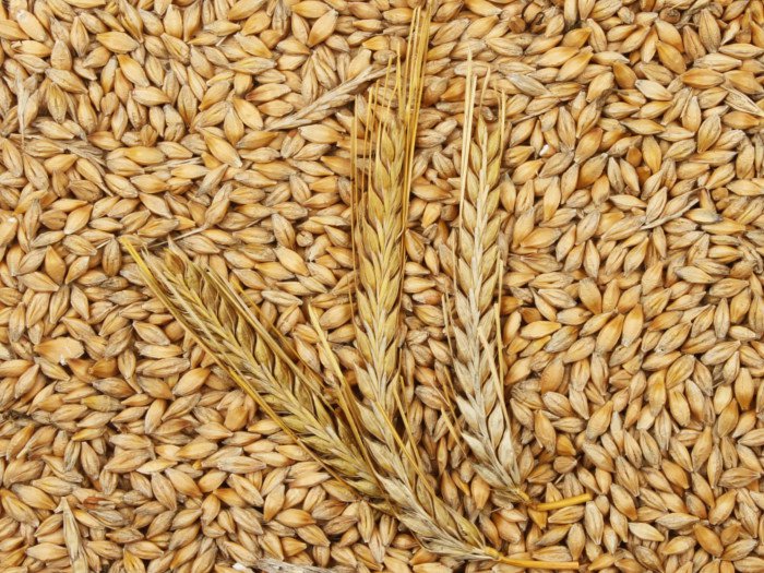 Essential Minerals Found in Barley in Hindi