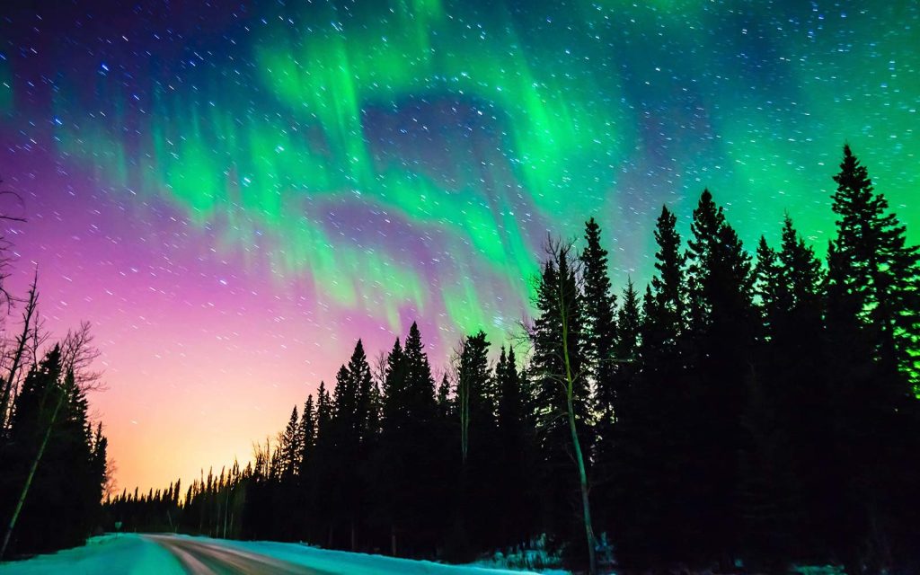 Northern Lights with forest and road